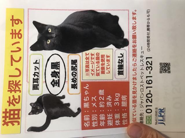 黒ちゃん