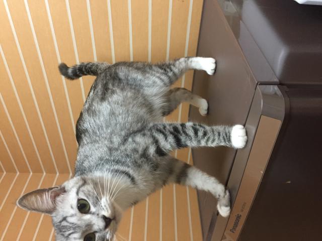 るん