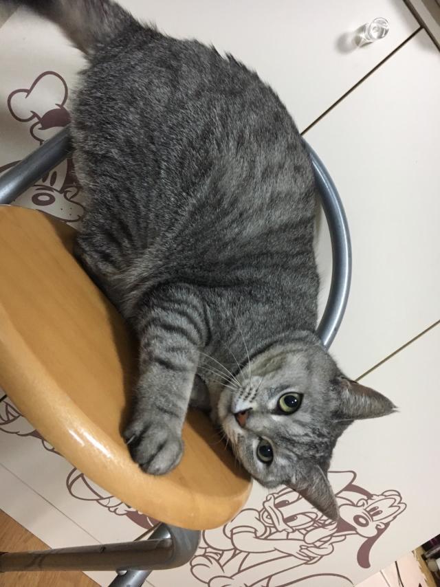 ググ