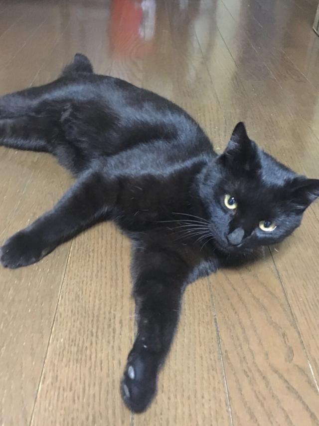 キキ