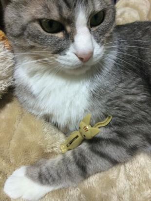 レオ