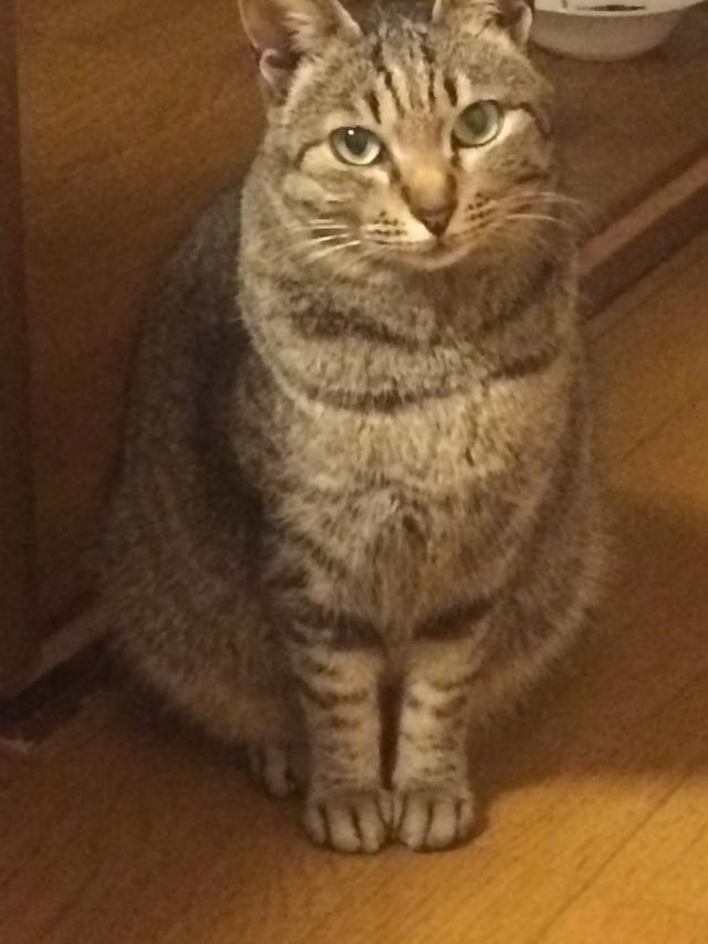 クレ