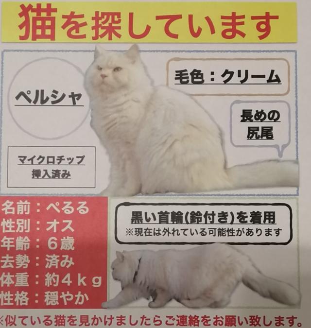 ぺるる