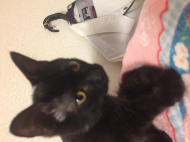 アル