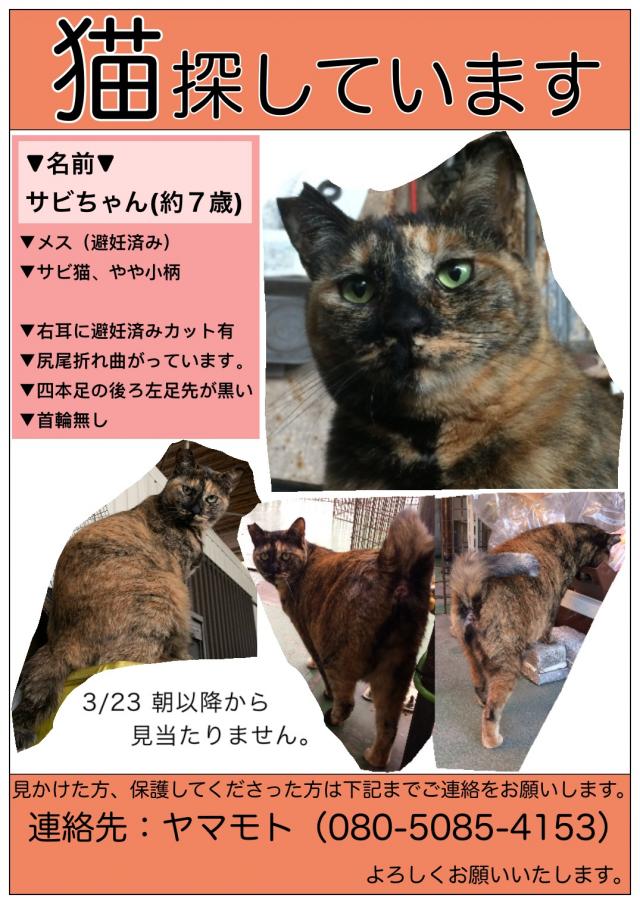 サビちゃん