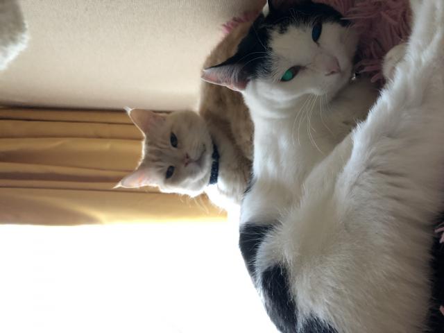 なな