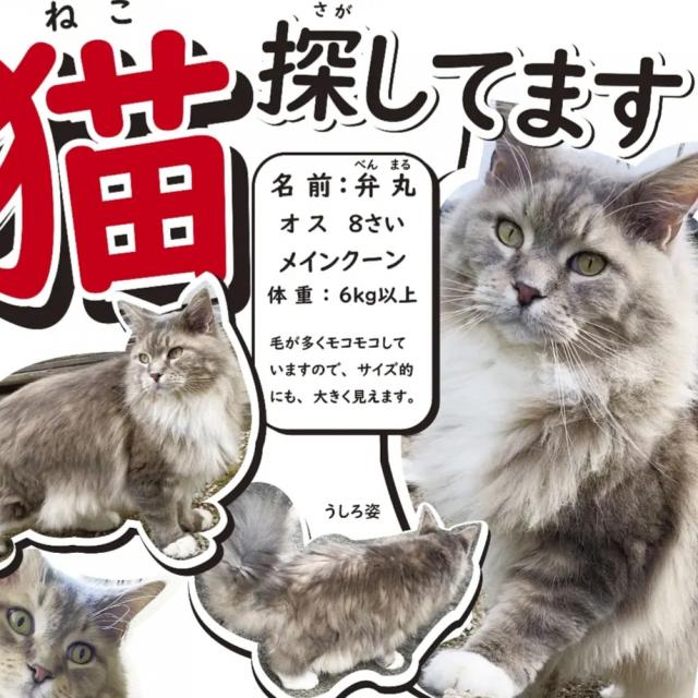 弁丸（べんまる）