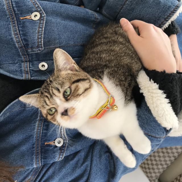 モモ