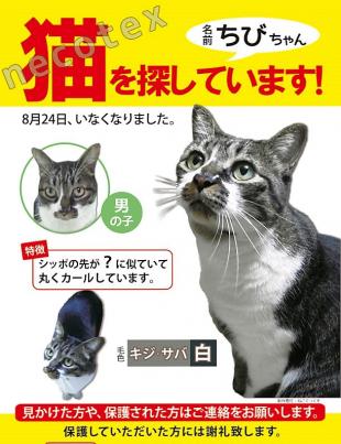 ちび