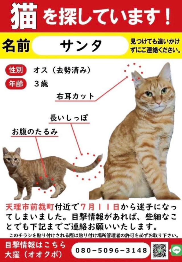サンタ