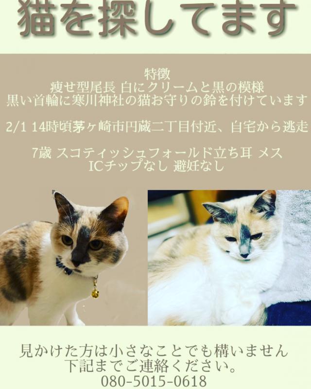 しぃ