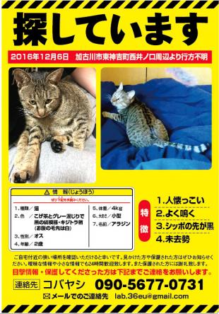 アラジン