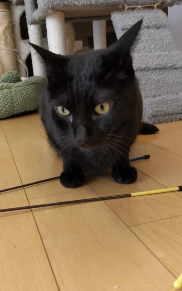 くーちゃん