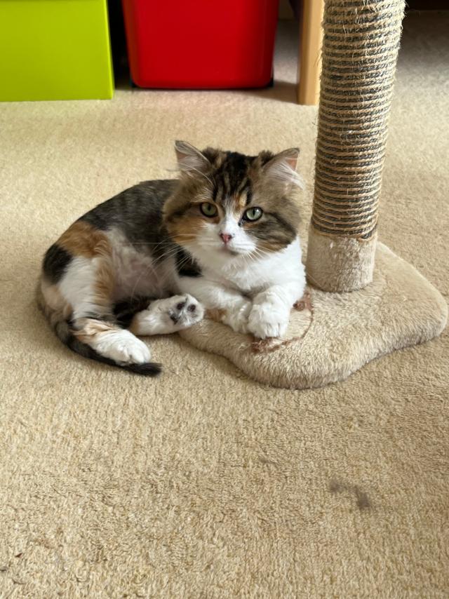 メイ