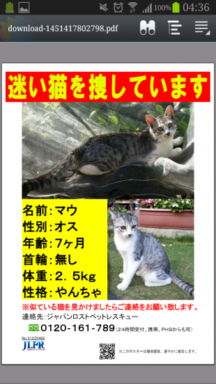 マウ