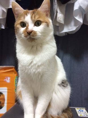 うな