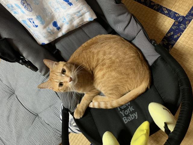 レオン