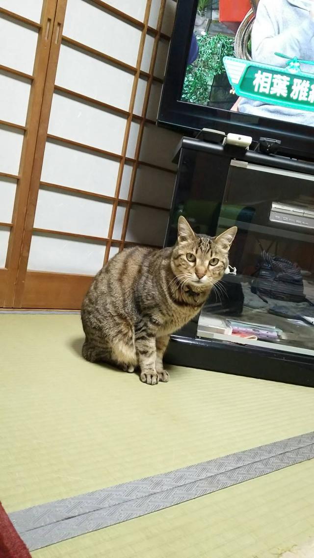 かっちゃん