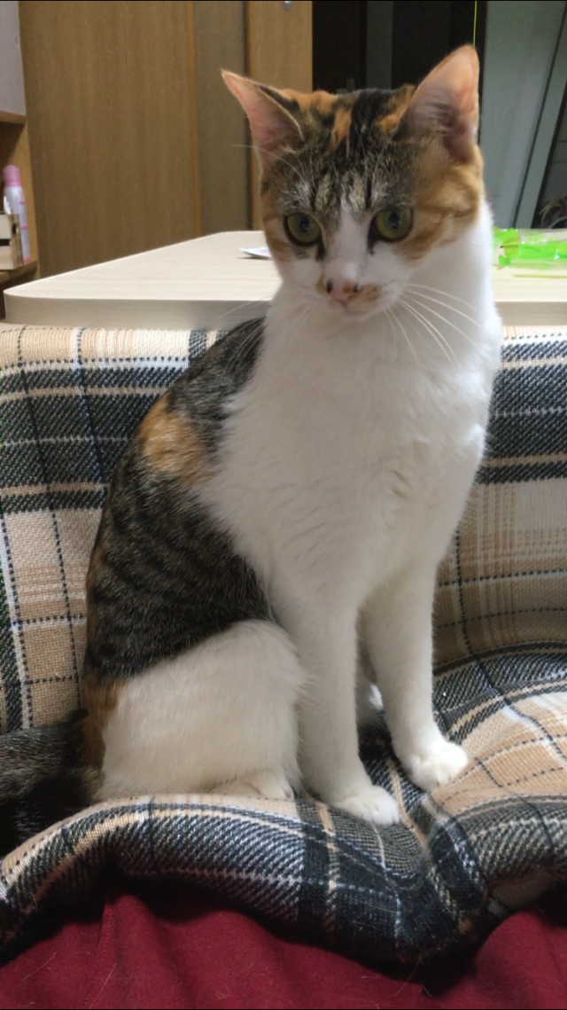 りん