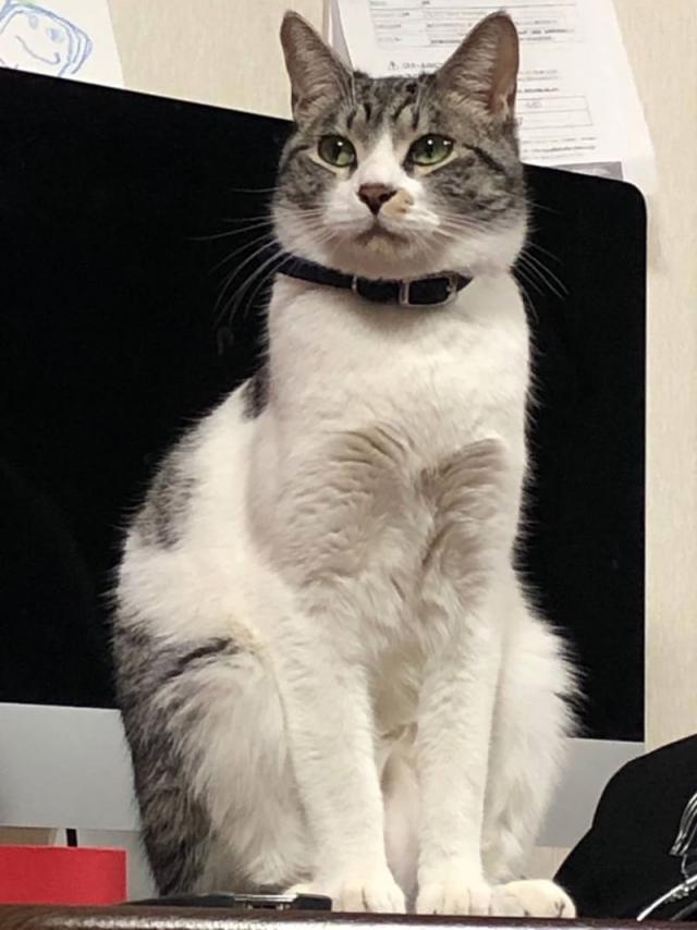 ミルク