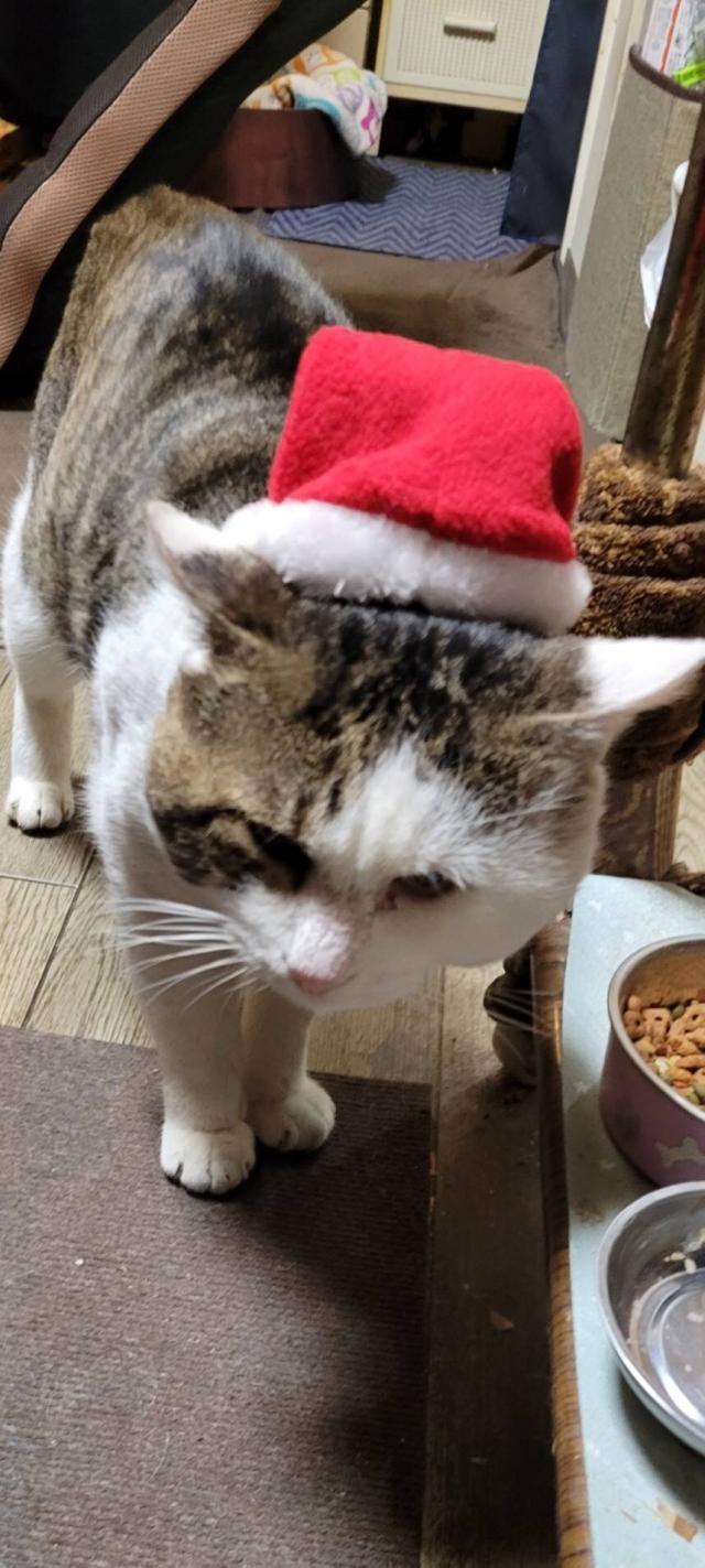 リー
