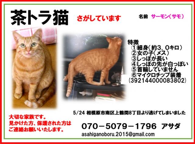 サーモン（サモ）