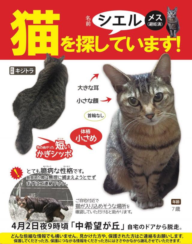 シエル