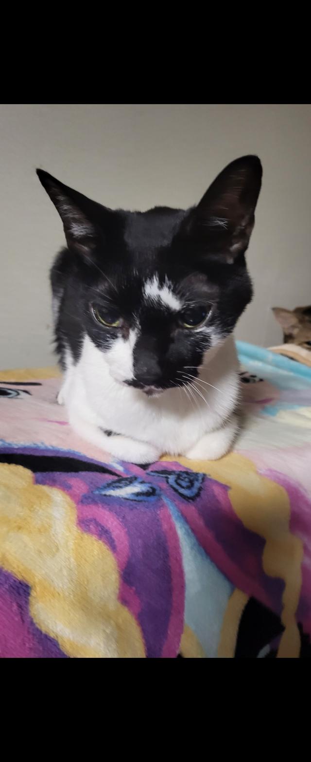タケル