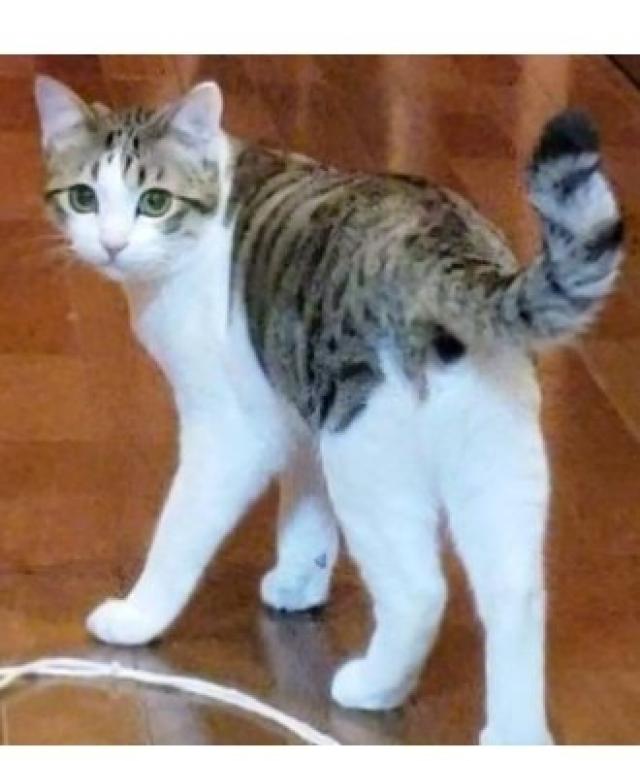 くーた