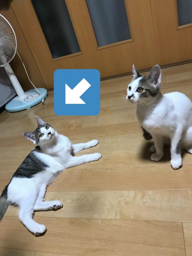 まる