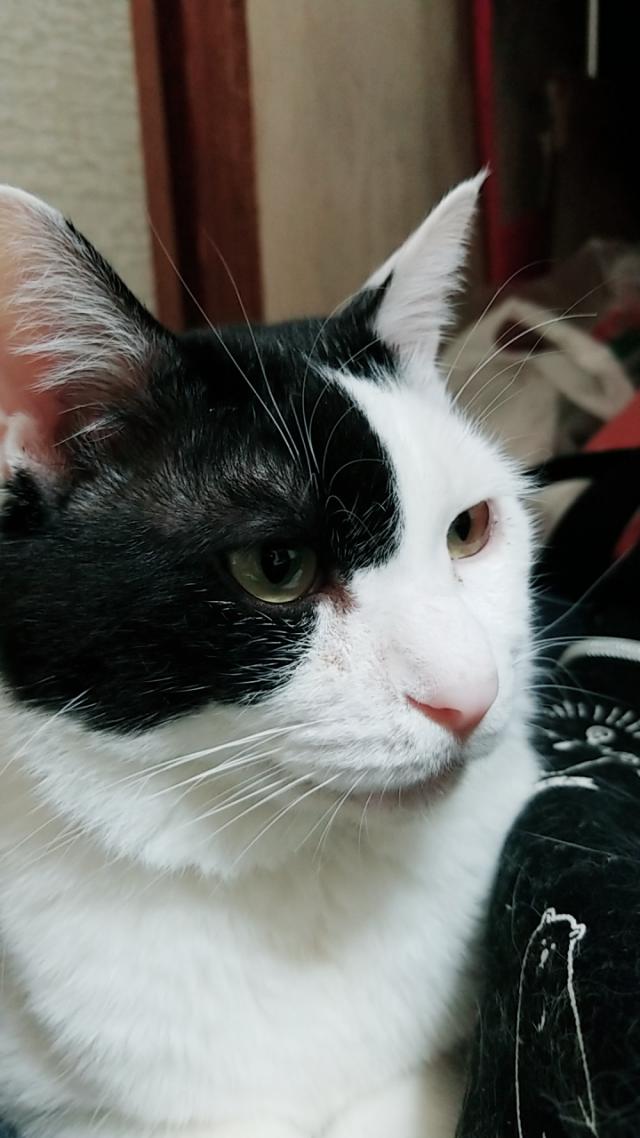 ちろ