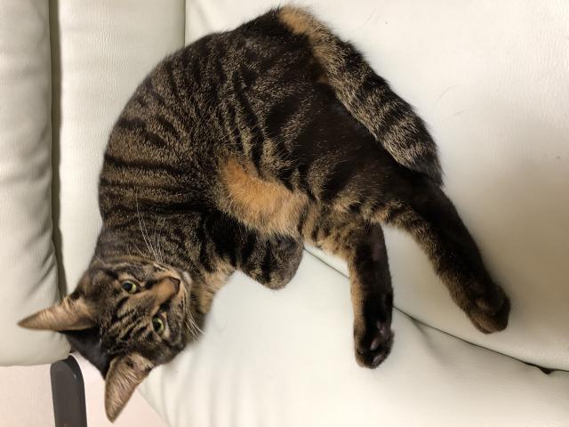 ルイ