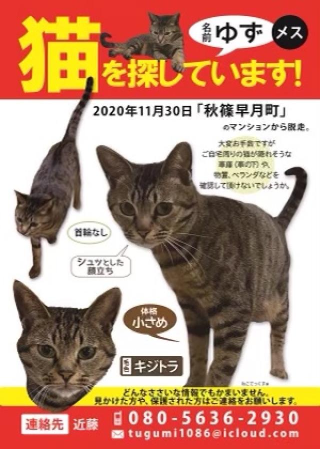 ゆず
