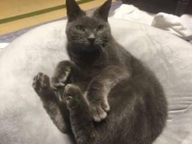 ナム