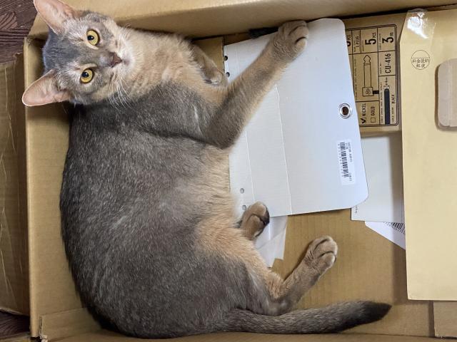 ルナ