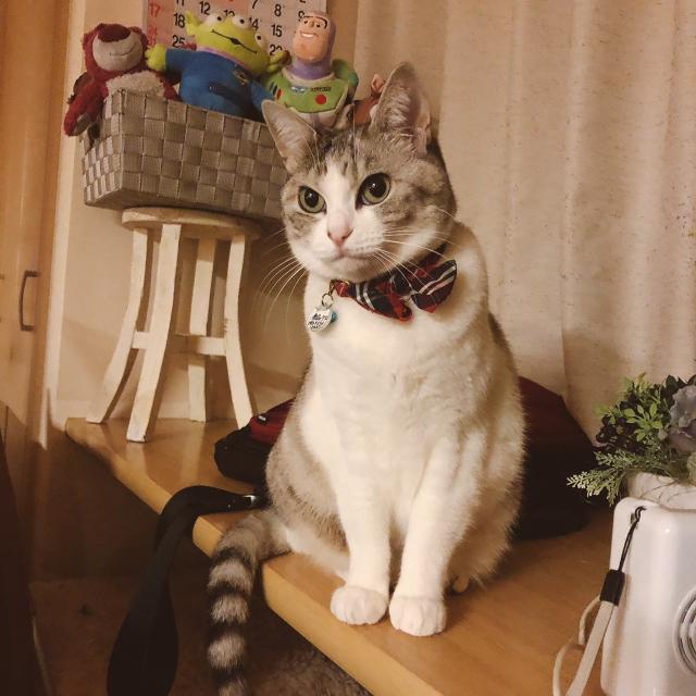 ケロ