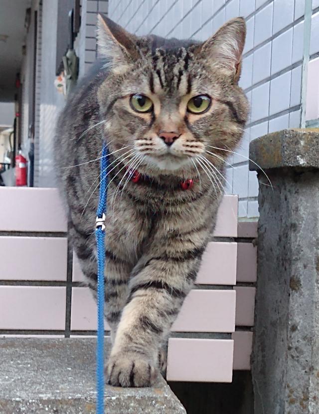みな