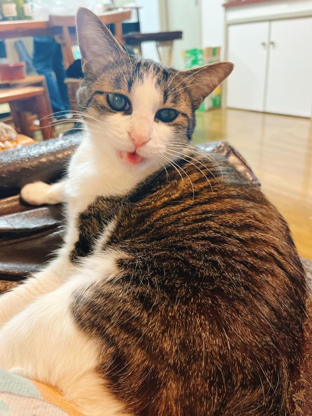 竹千代