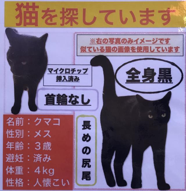 クマコ