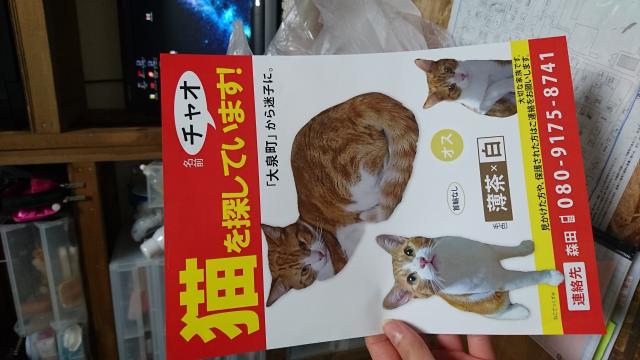 ちゃお