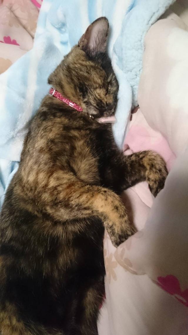 うに