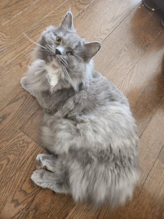 いちちゃん