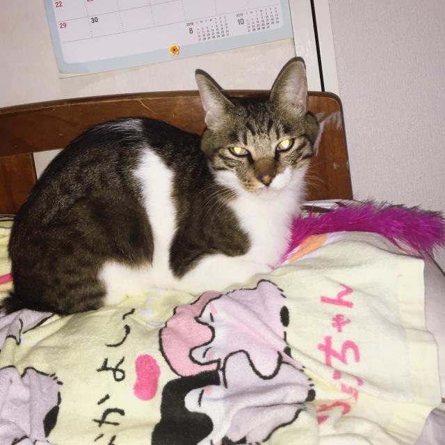 ちよ