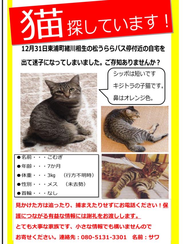 こむぎ