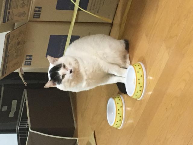 らぶ