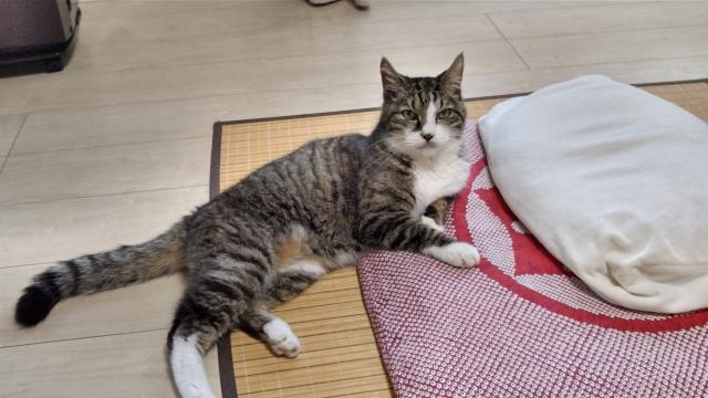 かずみ