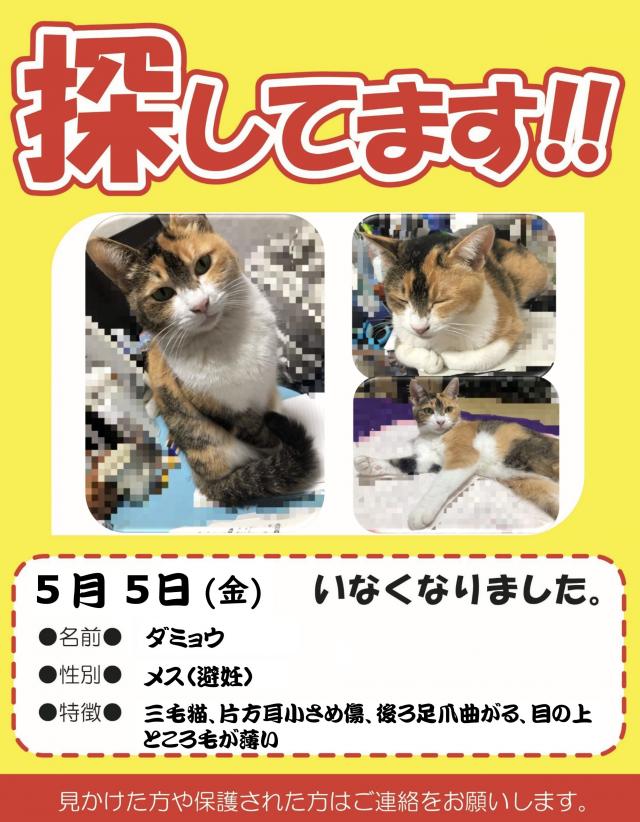 ダミョウ