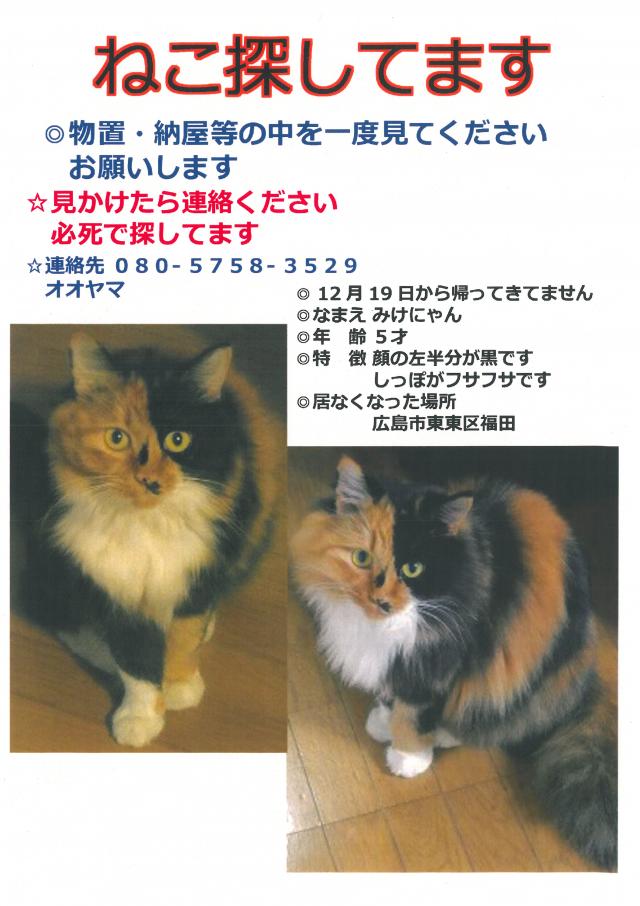 みけにゃん