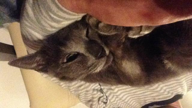 ヒロ
