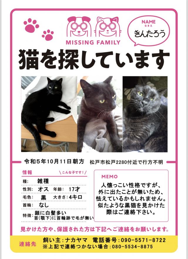 きんたろう